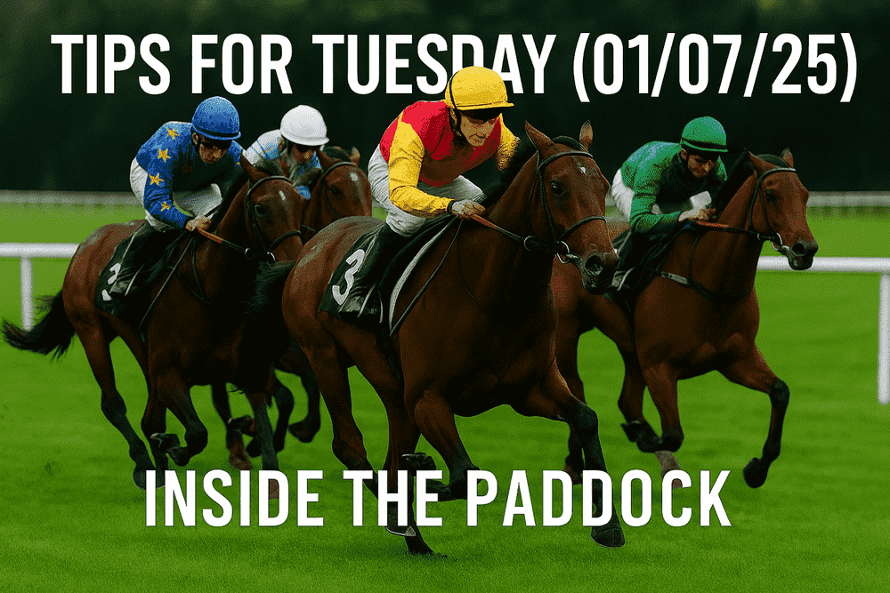 Tips for tuesday