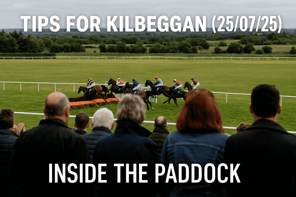 tips kilbeggan