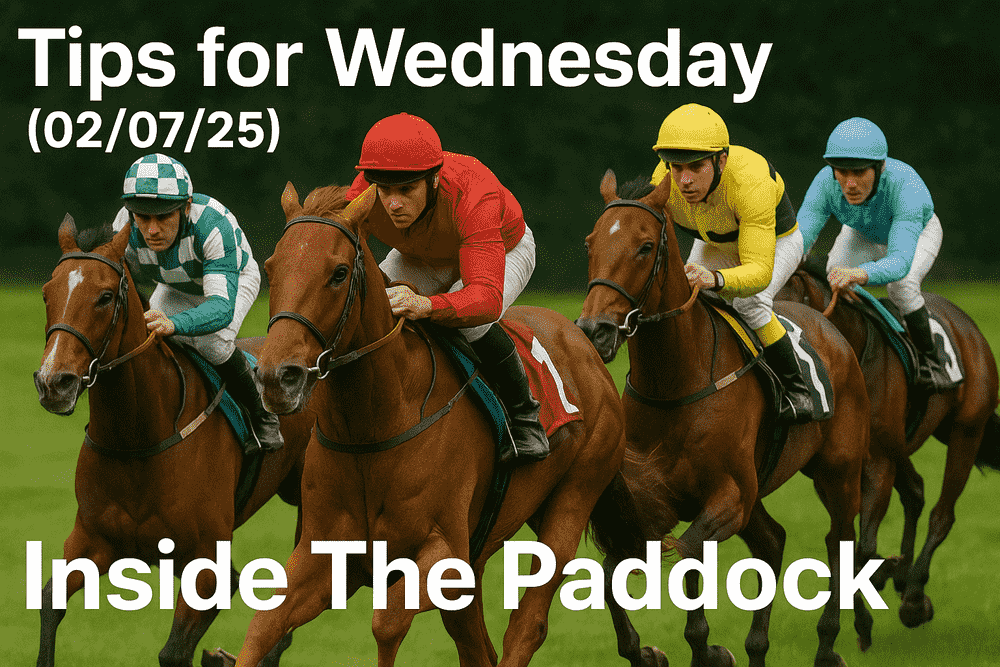 Tips for wednesday