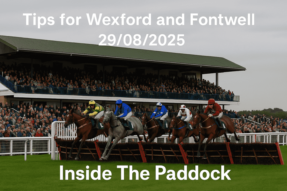 Jumps horse race seen from the grandstand with jockeys jumping hurdles – Tips for Wexford and Fontwell 29/08/2025 by Inside The Paddock