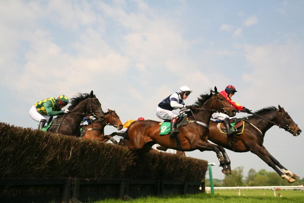 Horses to follow in the 2025/26 National Hunt season – Gordon Elliott runners over fences