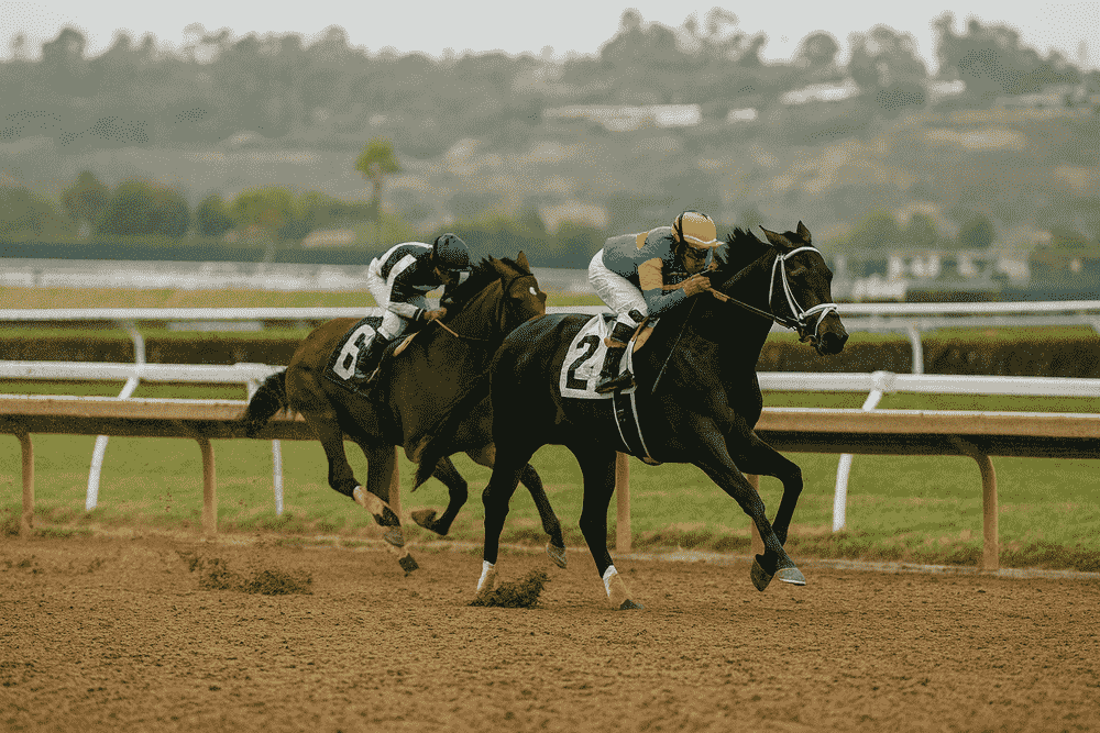 Two thoroughbred racehorses competing on the dirt surface at Del Mar during the Breeders Cup Classic 2025, with the lead jockey wearing blue and orange silks pushing hard toward the finish line.