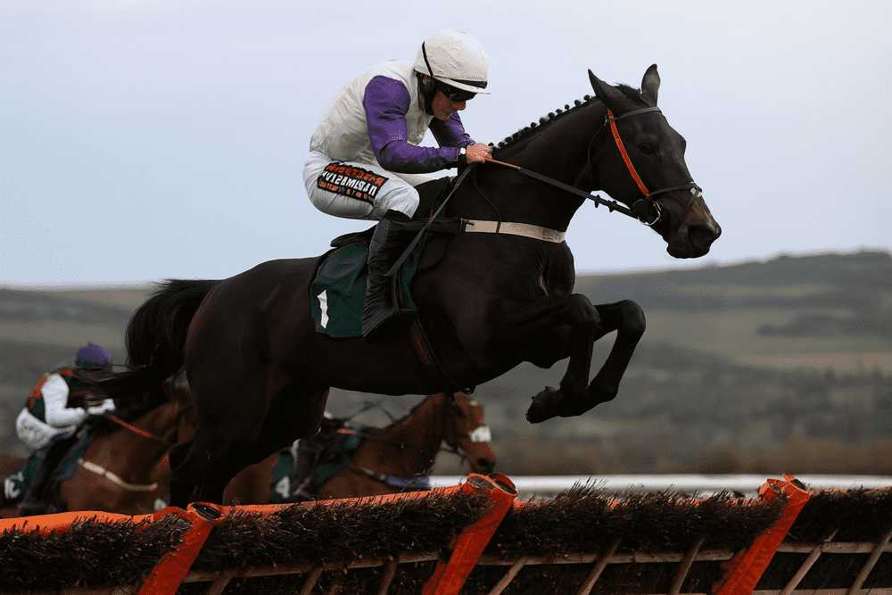 A racehorse jumping a hurdle at Cheltenham Showcase 2025, with the jockey wearing purple and white silks, captured mid-air in a National Hunt race.