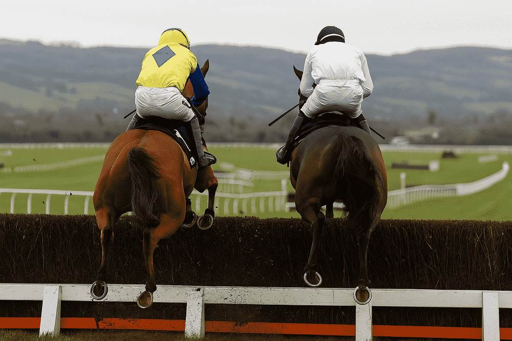 Two racehorses captured from behind as they leap over a fence at Cheltenham, showing the effort, power and elegance of National Hunt racing