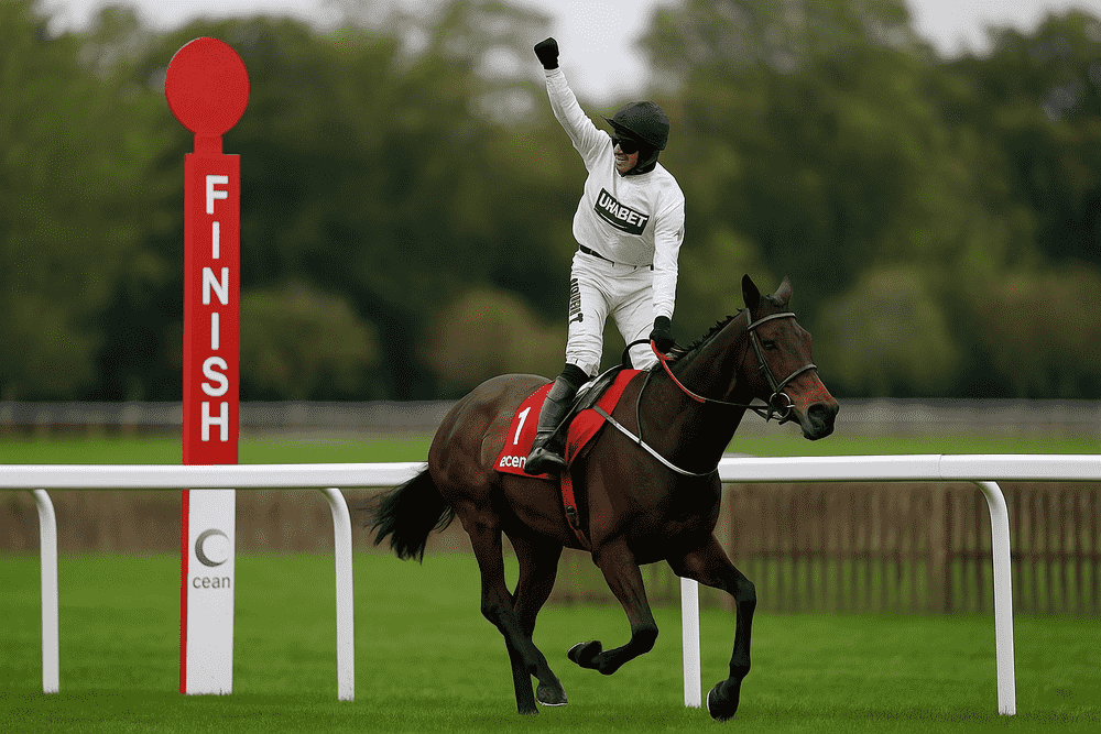 Racehorse and jockey in white silks celebrating after crossing the finish line during a National Hunt race, symbolizing Constitution Hill’s comeback