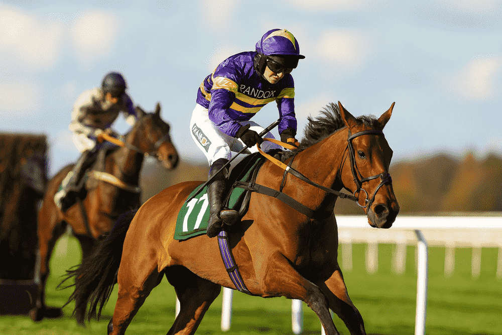 A National Hunt race scene with a leading horse ridden by a jockey in purple and yellow silks, similar to Corach Rambler’s colours, followed by a rival over fences during a sunny jumps race.