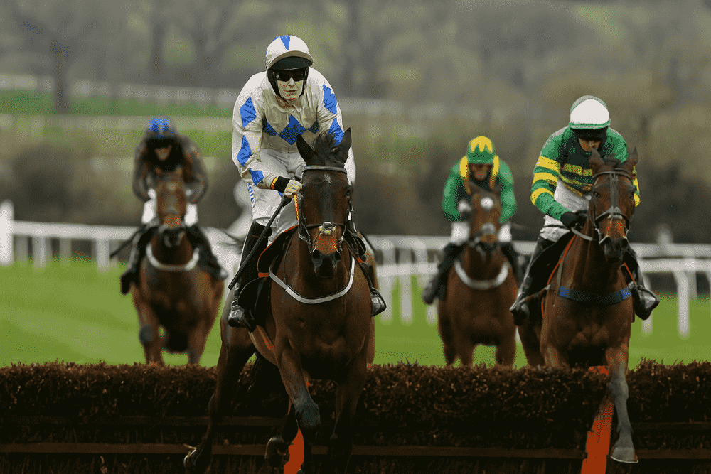 Henry de Bromhead-trained horse leading a group of jumpers over a hurdle at Cheltenham, with the jockey wearing beige and blue silks during the 2025/26 National Hunt season.