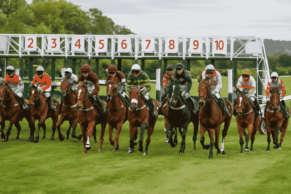 Jockeys riding racehorses as they break from the start of a British National Hunt race, featured in Inside The Paddock’s Venetia Williams Horses to Follow 2025–26 article.