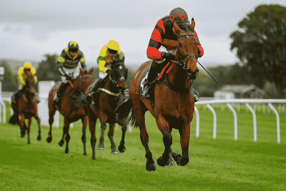 A National Hunt flat race showing a leading horse ridden by a jockey in Lucinda Russell’s red and black silks, pulling clear from rivals on the turf during the 2025/2026 jumps season.