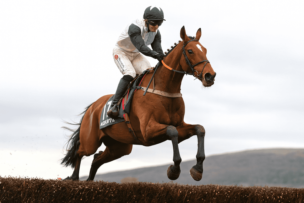 A National Hunt jockey in white and pink silks riding a bay racehorse as it jumps a hurdle over muddy ground, showcasing power and precision during the 2025/26 jump racing season.