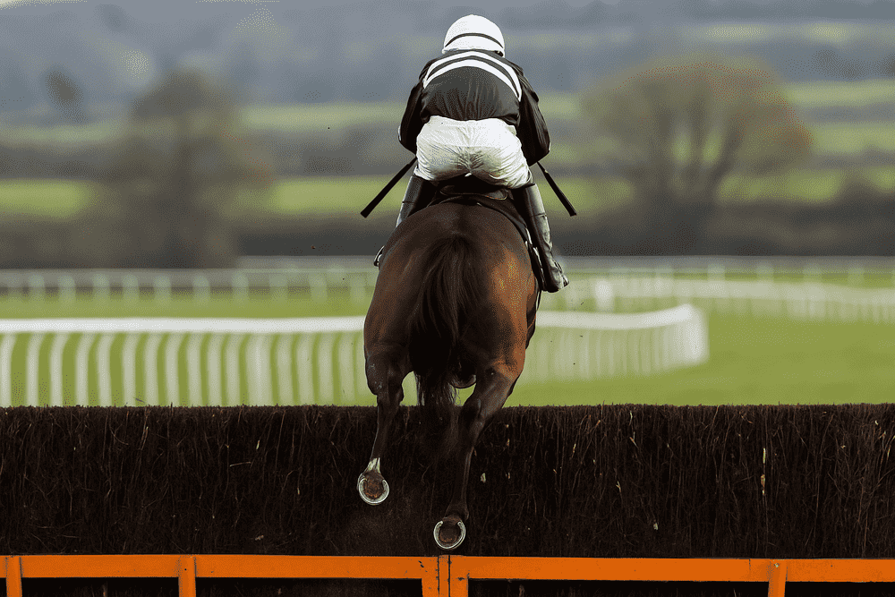 A racehorse viewed from behind as it jumps a hurdle during a British National Hunt race, featured in Inside The Paddock’s Venetia Williams Horses to Follow 2025–26 guide.