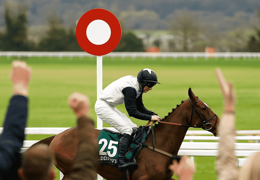 A racehorse and jockey in black and white silks crossing the finish line as the crowd cheers with raised arms, capturing the excitement of a National Hunt race victory on soft ground.
